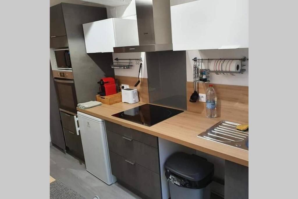 Appartement Avec Jardin Hyper Entre 발랑시엔 외부 사진
